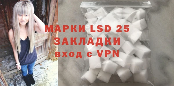 прущие грибы Абинск