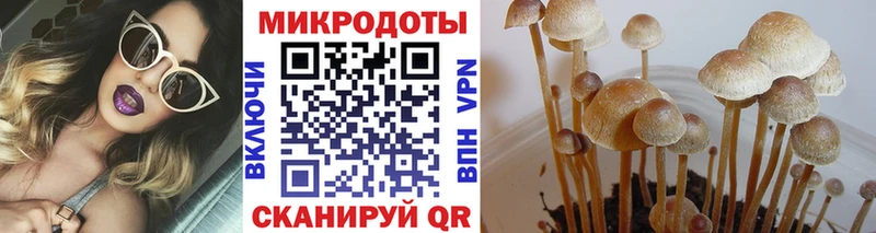Псилоцибиновые грибы MAGIC MUSHROOMS  Камышлов 